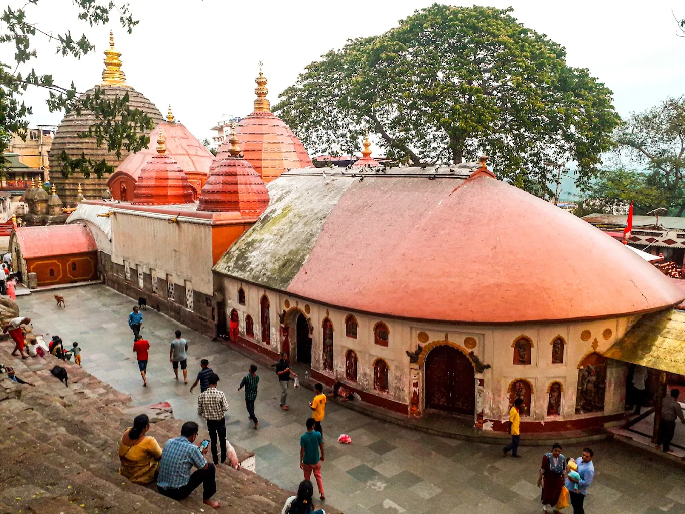 kamakhya temple guwahati timings