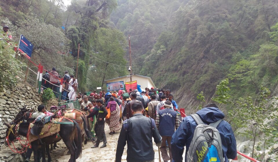 Pilgrims on the Kedarnath trek route